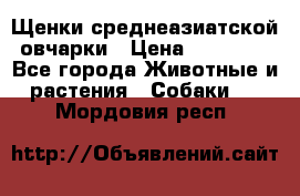 Щенки среднеазиатской овчарки › Цена ­ 20 000 - Все города Животные и растения » Собаки   . Мордовия респ.
